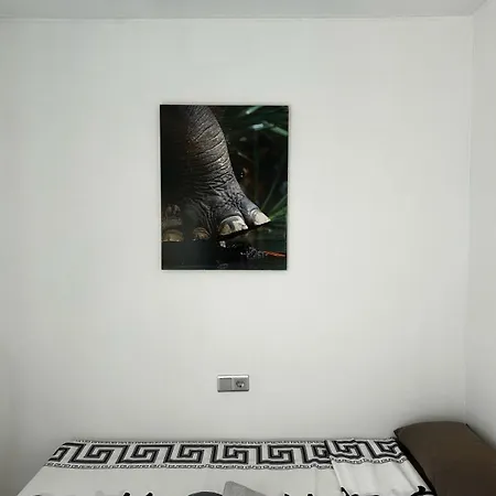 Piso Lloret יורט דה מאר